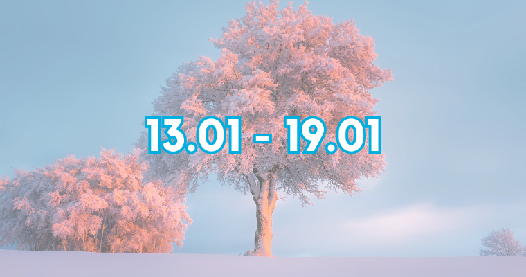 13-19.01