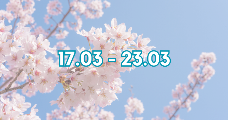 17.03 - 23.03 