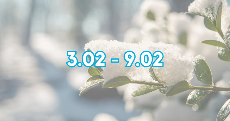 С какво успях тази седмица - 3.02 - 9.02.2025 г. 